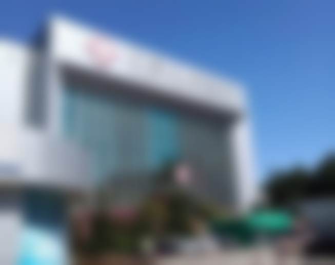 梁俊的学术积累与从业资历