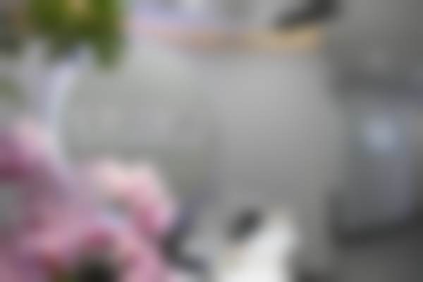 二、马蓉清的学术积累与从业资历