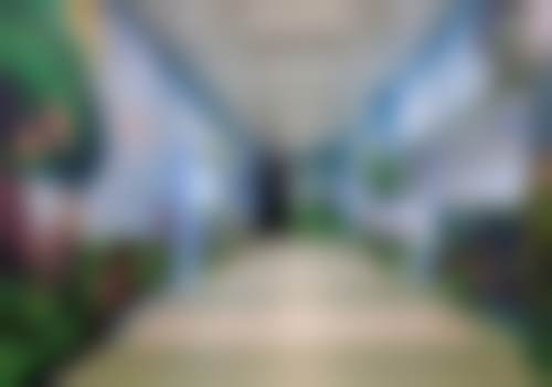二、学术积累与从业资历